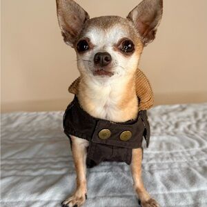 Vintage-Style Brown Corduroy & Plaid Dog Jacket – Size S/XS